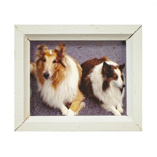 Dolls house collie - dolls, dogs