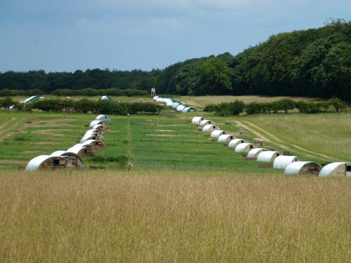 Photo 12x8 rows pig arks - rows, of