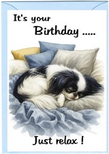Japanese Chin Dog Birthday