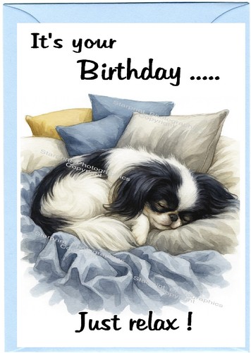 Japanese chin dog birthday - chin,