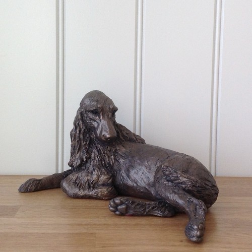 Monty springer spaniel - springer, frith