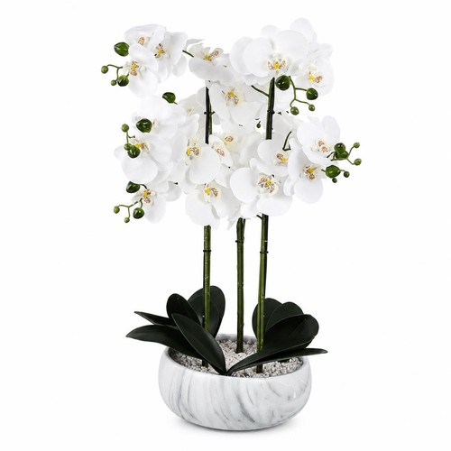 Artificial orchid 60cm - 60cm, white