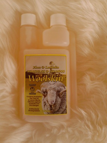 Wool duvet and pillow - wool,