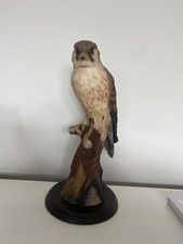 Large Peregrine Falcon Bird