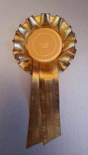 Gold oldest dog - , rosette