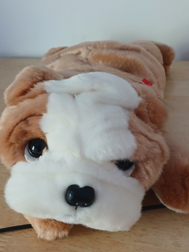 Beanie buddy wrinkles - beanie,