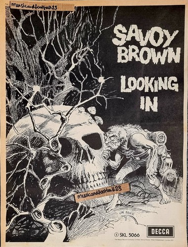 Savoy brown looking - -, in