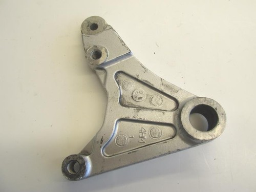 Rear brake caliper support