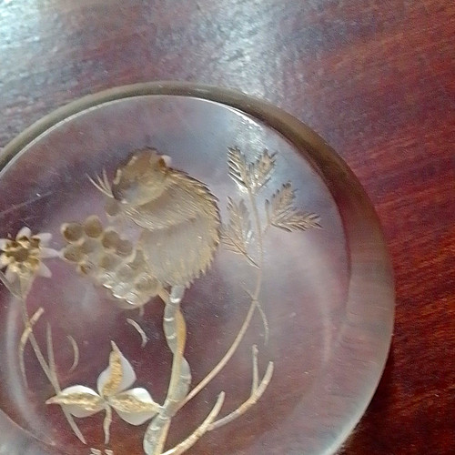 Paperweight plastic field - paperweight,