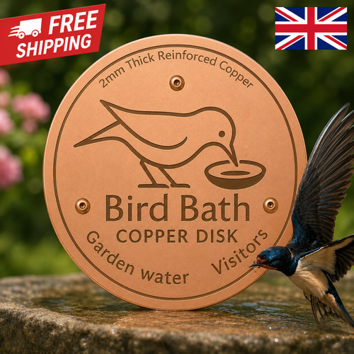 Bird bath copper - disk, for