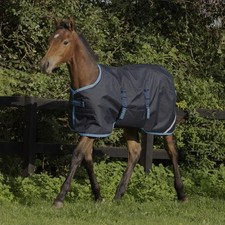 Horseware Amigo Foal 50g