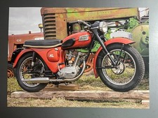 1959 Triumph T20 Tiger Cub