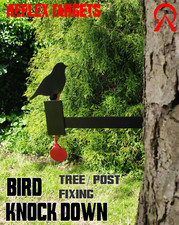 Bird tree knock down - tree,