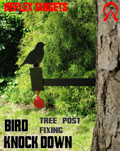 Bird tree knock - bird, down