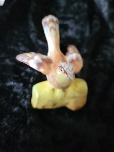 Crown staffordshire chaffinch - crown,