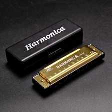 Harmonica Mouth Organ Puzzle