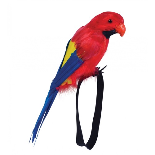 Feather wrist parrot - wrist,