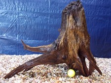 XX-Large Driftwood 19"x24"x19"