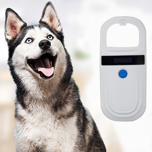Mini animal chip - animal, id