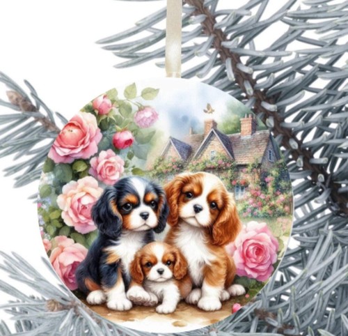 King charles cavalier - cavalier, spaniel