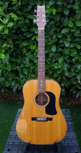Vintage 1989 washburn 13n - 1989,