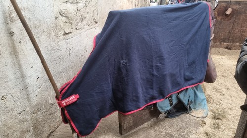 Horseware ireland amigo - ireland, mio