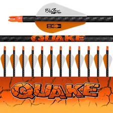 Blemish Element carbon arrows