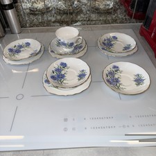 Vintage Royal Vale Blue