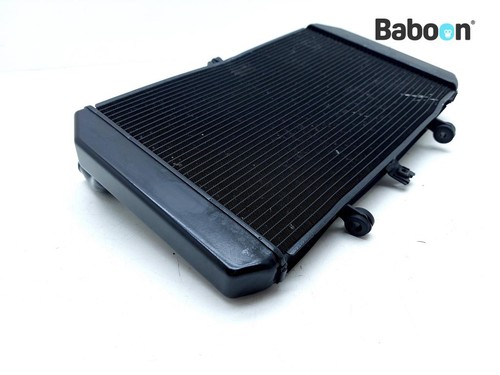 Radiator kawasaki 800 - radiator, z