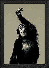 Monkey pose Framed Wall Art