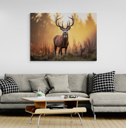 Stag deer animal canvas - deer,