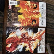 The Marvels Project #'s 1-8