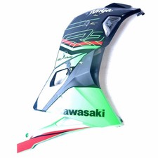 2024 Kawasaki Ninja ZX4RR