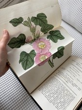 Curtis’s Botanical Magazine