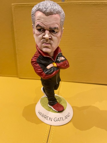 Warren gatland grogg - grogg,