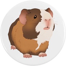 'Adorable Baby Guinea Pig'
