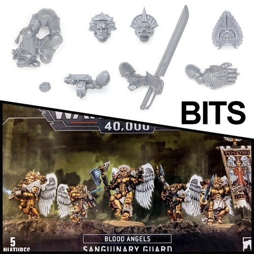 Blood angels sanguinary guard - angels,