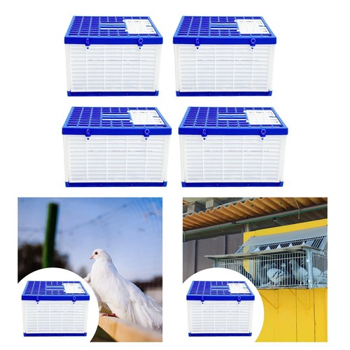 Folding pigeon cage - folding, nest
