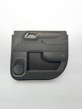 Passenger Rear Door Panel