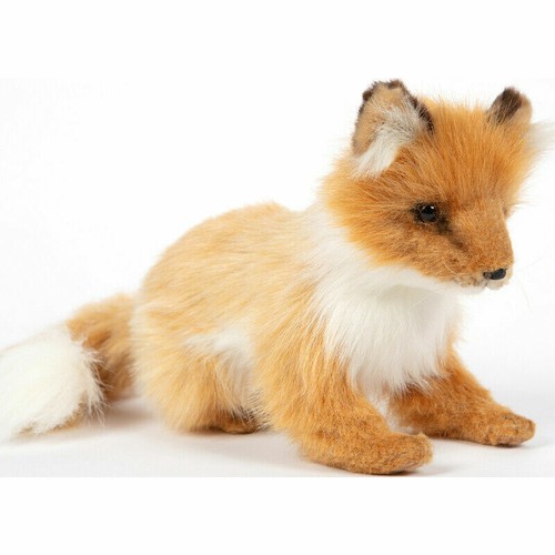 Hansa fox cub sitting - fox,