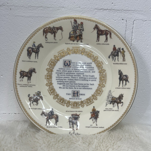 Aynsley the horse - horse, collector