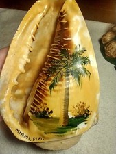 VINTAGE Miami Fl.  Conch Sea