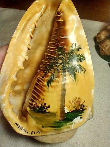 Vintage miami conch sea - vintage, fl.