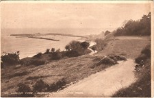 Langmore Gardens Lyme Regis