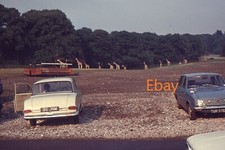 35mm Slide - Vauxhall Victor & Hillman Minx Parked At Safari Park, 1960s