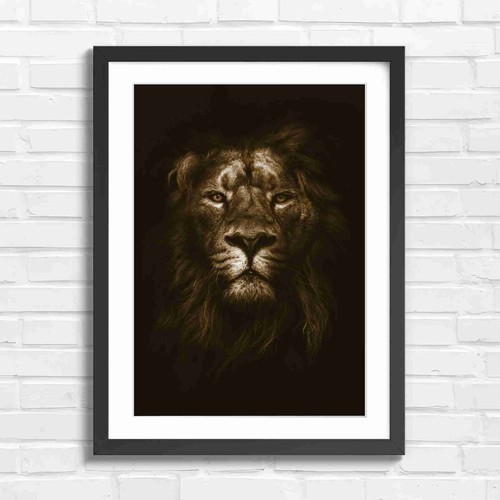 Intense majestic male lion - intense,