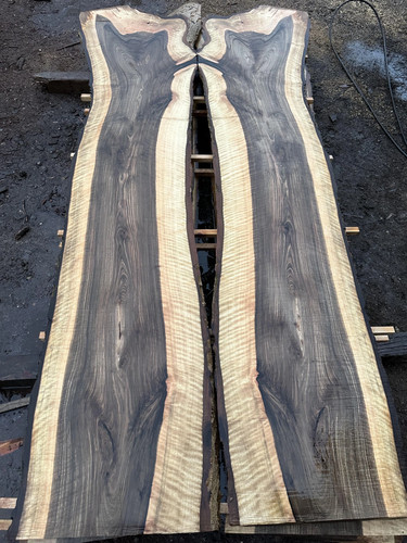 Rippled english walnut - english,