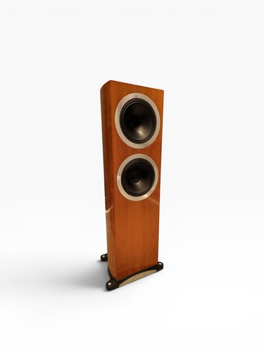 Tannoy dc10t floor - tannoy,