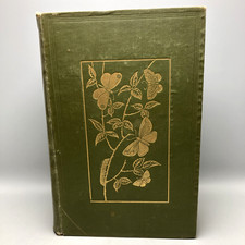 Butterflies and Moths of the