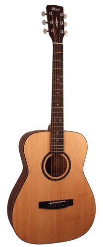 Cort standard series - cort,